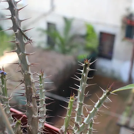 John B .&b. בית הארחה