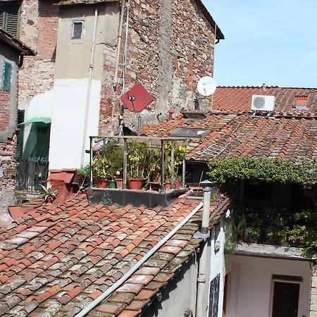 John B .&b. 2* Lucca