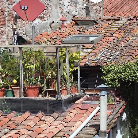 Pensjonat John B .&b. 2*