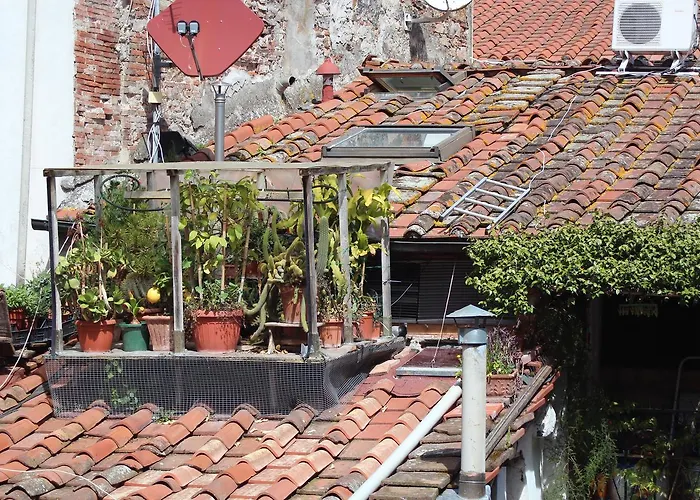 게스트하우스 John B .&b. 2*