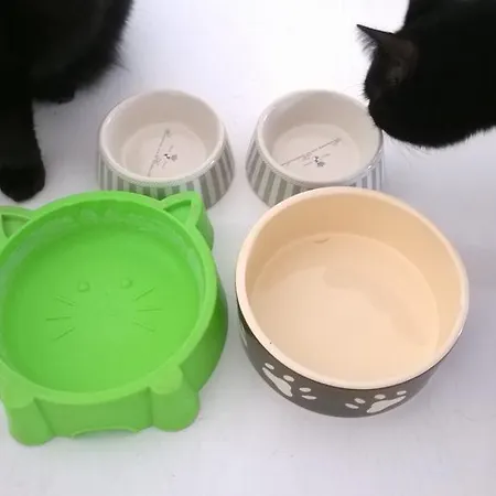 Konukevi John B .&b. Lucca