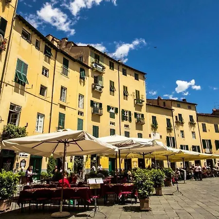 John B .&b. 2* Lucca